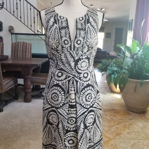 Banana Republic Silk Dress